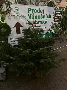Prodej mulčovací kůry, štěpky i vánočních stromků